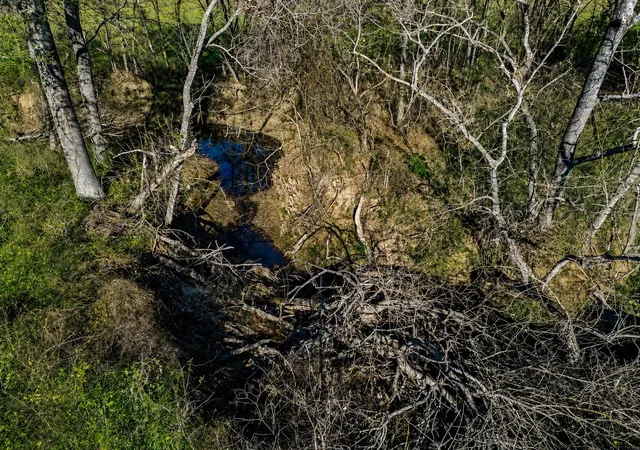 20th image of Tbd County Road 721, Kosse, TX 76653 | MLS# 5722349