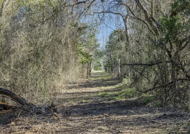 Homes for sale in Groesbeck, TX | Tract 3 County Road 386, Groesbeck, TX 76642 | MLS# 9584604