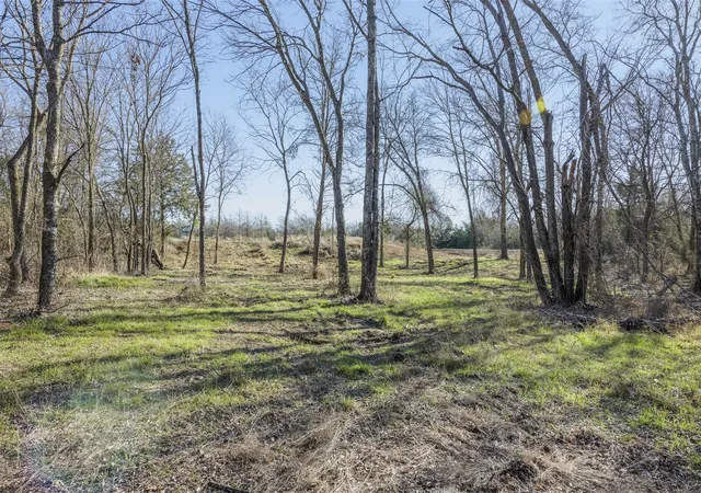 Homes for sale in Groesbeck, TX | Tract 3 County Road 386, Groesbeck, TX 76642 | MLS# 9584604