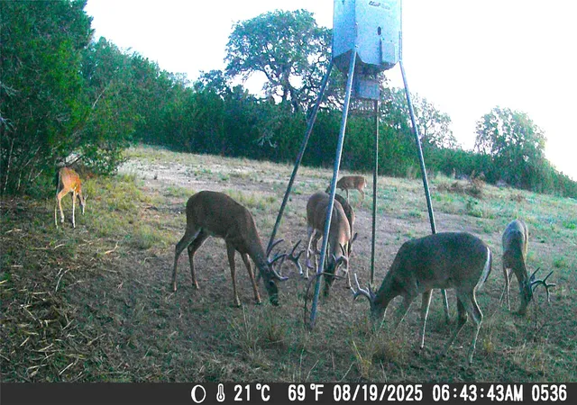 16th image of Tbd Cr 206, Lampasas, TX 76550 | MLS# 1579122