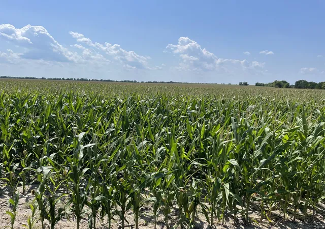 Photo 3 of Land for sale at Tbd Donahue Rd, Bartlett, TX 76511 | MLS# 5396664 | Listing updated on 2026-07-17