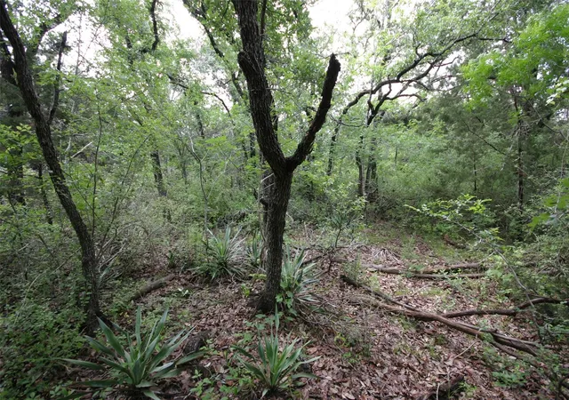 4th image of 1900 County Road 156, Granger, TX 76530 | MLS# 6683068
