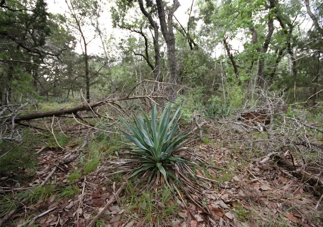 5th image of 1900 County Road 156, Granger, TX 76530 | MLS# 6683068