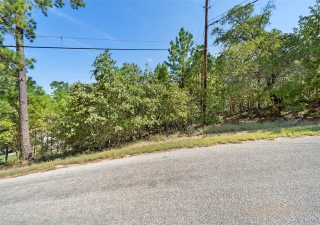 Homes for sale in Bastrop, TX | Tbd 847 Mamalu Dr, Bastrop, TX 78602 | MLS# 1298840