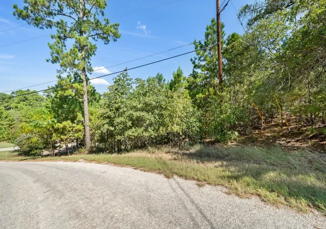 Homes for sale in Bastrop, TX | Tbd 847 Mamalu Dr, Bastrop, TX 78602 | MLS# 1298840