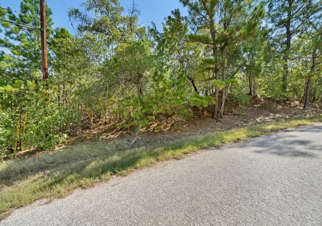 Homes for sale in Bastrop, TX | Tbd 847 Mamalu Dr, Bastrop, TX 78602 | MLS# 1298840