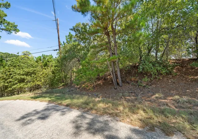 Homes for sale in Bastrop, TX | Tbd 847 Mamalu Dr, Bastrop, TX 78602 | MLS# 1298840