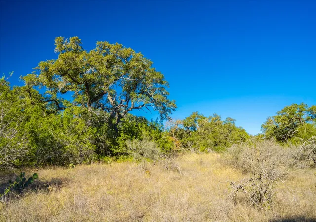5th image of 00 W Mccarty Ln, San Marcos, TX 78666 | MLS# 2098724