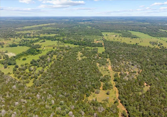 4th image of 1648 Jeddo Rd, Rosanky, TX 78953 | MLS# 7701001
