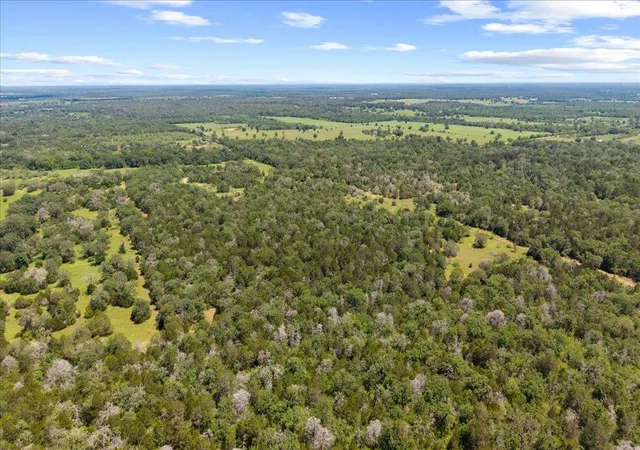 5th image of 1648 Jeddo Rd, Rosanky, TX 78953 | MLS# 7701001