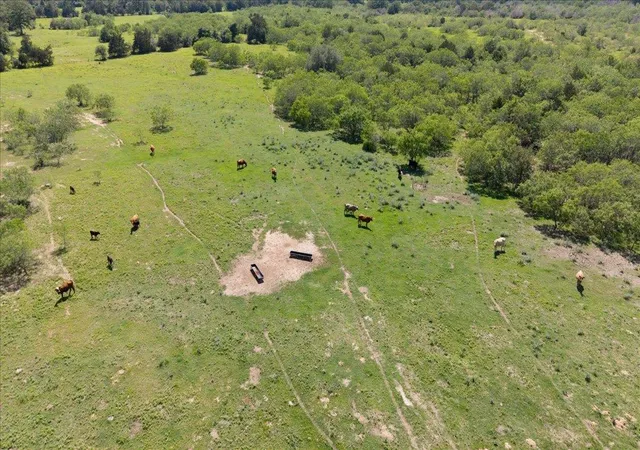 17th image of 3628 S Hwy 304, Rosanky, TX 78953 | MLS# 5579812