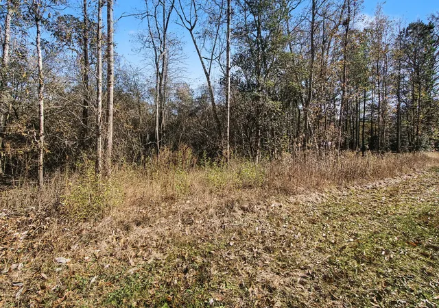 4th image of Tract 69 Northcrest Dr, Livingston, TX 77351 | MLS# 8185777