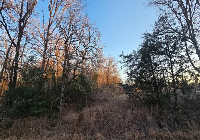 Homes for sale in Rockdale, TX | 314 County Rd Lot 8 Tbd Rd, Rockdale, TX 76567 | MLS# 1394185