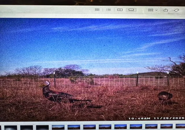 Photo 2 of House for sale at 000 County Rd 2699, Lometa, TX 76853 | MLS# 1358989 | Listing updated on 2026-09-12