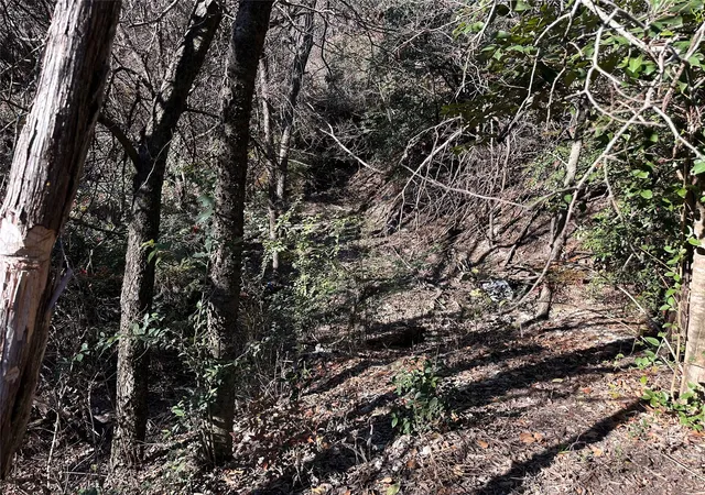 4th image of Tbd Cedar Valley Cv, Austin, TX 78753 | MLS# 4196735