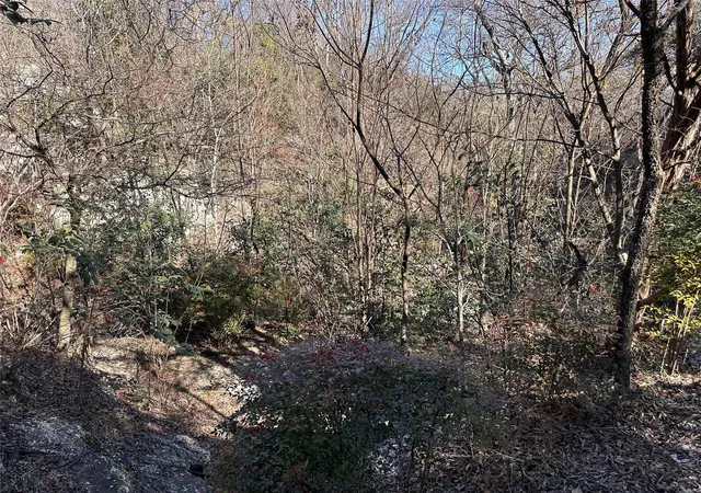 5th image of Tbd Cedar Valley Cv, Austin, TX 78753 | MLS# 4196735