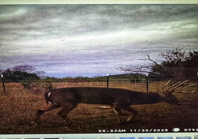 Photo 2 of Land for sale at Tbd 000 County Rd 2699, Lometa, TX 76853 | MLS# 5410189 | Listing updated on 2026-09-12