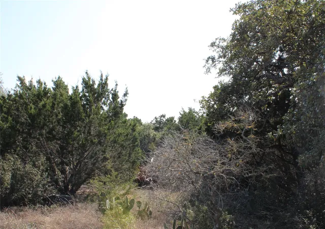 Photo 2 of Land for sale at 251 Serenity, Fischer, TX 78623 | MLS# 3644757 | Listing updated on 2026-03-16