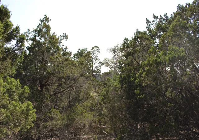 Photo 3 of House for sale at 251 Serenity, Fischer, TX 78623 | MLS# 3644757 | Listing updated on 2026-03-16