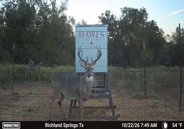Photo 1 of Land for sale at 567 County Rd 241, Rochelle, TX 76872 | MLS# 9898263 | Listing updated on 2026-10-29