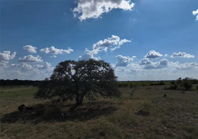 12th image of Tbd Lot 9 Tenney Creek Rd Rd, Dale, TX 78616 | MLS# 7849348