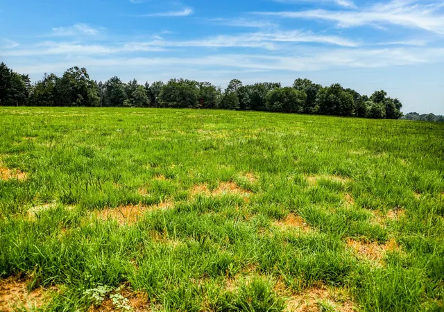 4th image of 10610 Cr 322, Caldwell, TX 77836 | MLS# 4809043