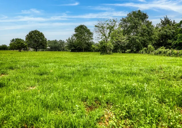 5th image of 10610 Cr 322, Caldwell, TX 77836 | MLS# 4809043