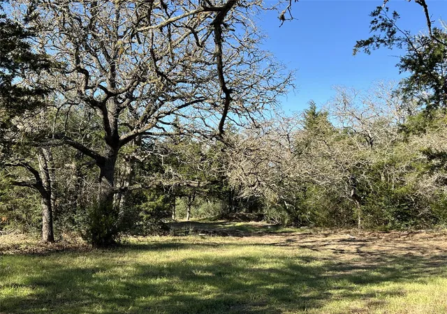 4th image of Tbd Rosanky Cattle Company Rd, Rosanky, TX 78953 | MLS# 2007227