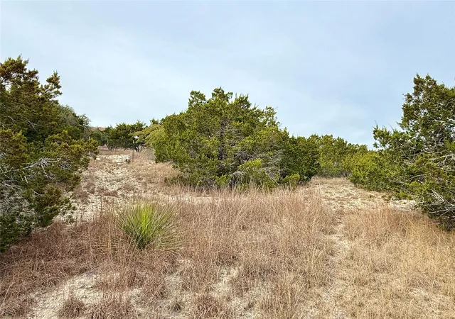 5th image of 557 Abodar Trl, Spring Branch, TX 78070 | MLS# 5769606