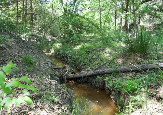 5th image of 1035 Old Sayers Rd, Elgin, TX 78621 | MLS# 4273285
