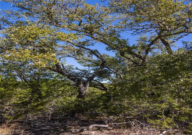 5th image of Tbd Caliche Rd, Wimberley, TX 78676 | MLS# 9175868