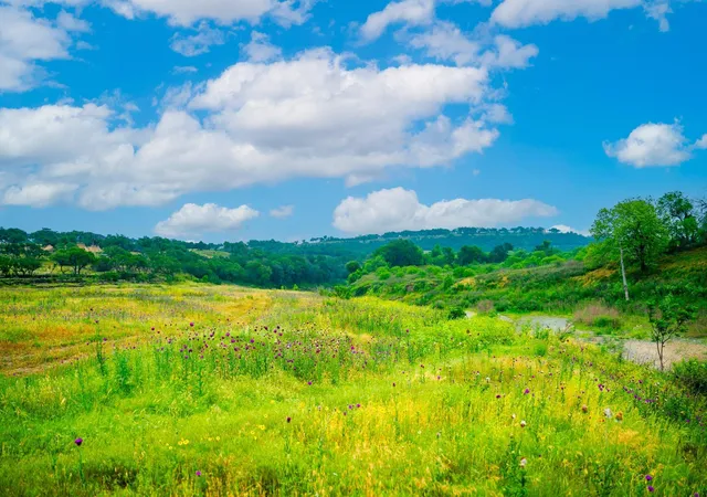 Photo 3 of Land for sale at 1718 Paradise Pkwy, Canyon Lake, TX 78133 | MLS# 3532095 | Listing updated on 2026-08-14