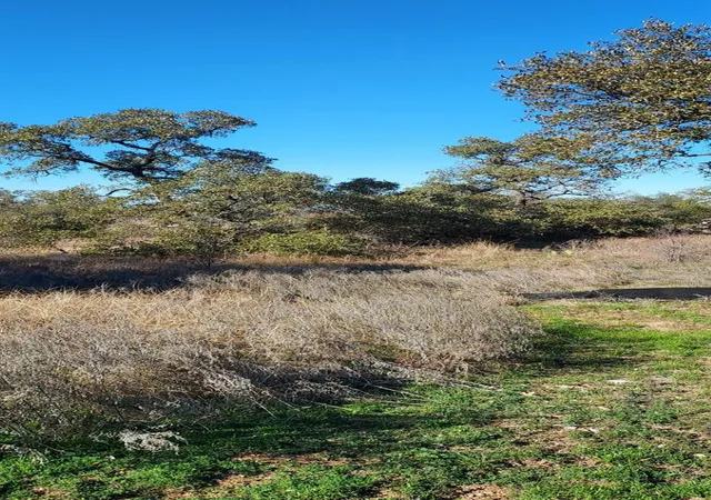 16th image of Lot 50 Pristine Pass, Buchanan Dam, TX 78609 | MLS# 2426596