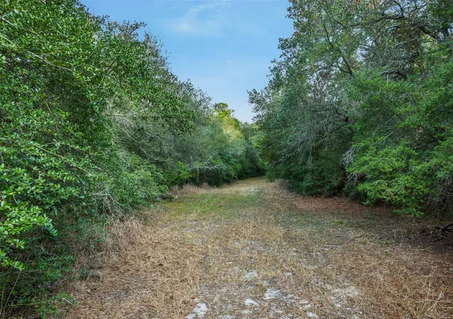 1st image of 000 Hwy 71 Byp, La Grange, TX 78945 | MLS# 7419225
