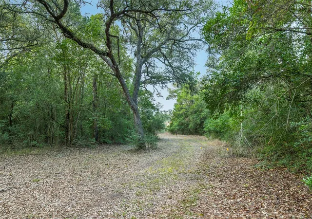 4th image of 000 Hwy 71 Byp, La Grange, TX 78945 | MLS# 7419225