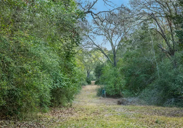 5th image of 000 Hwy 71 Byp, La Grange, TX 78945 | MLS# 7419225
