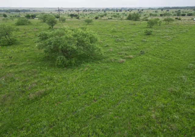 Homes for sale in Lometa, TX | 2238 County Road 2109, Lometa, TX 76853 | MLS# 3494808