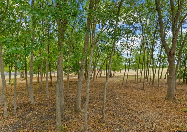 29th image of 1020 Portchester Castle Path, Pflugerville, TX 78660 | MLS# 6955235