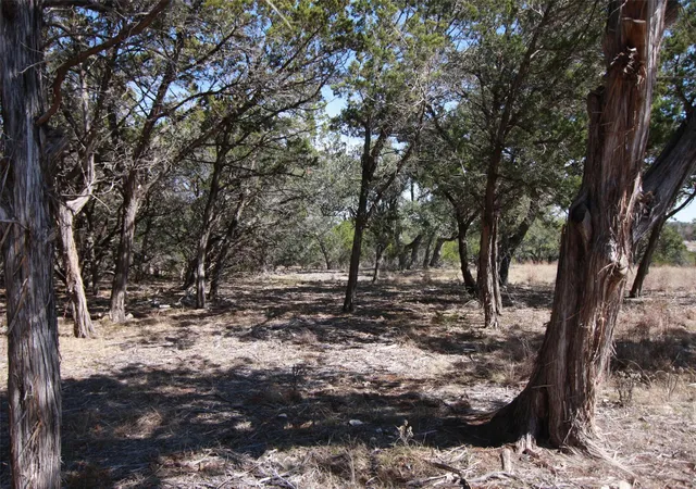 1st image of 150 Patricks Wy, Dripping Springs, TX 78620 | MLS# 9280029
