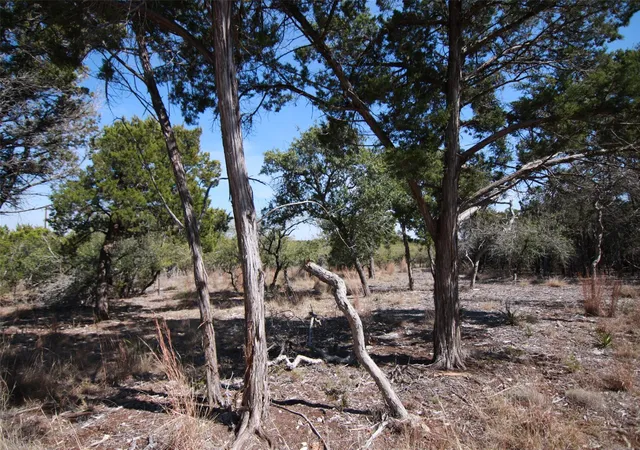 2nd image of 150 Patricks Wy, Dripping Springs, TX 78620 | MLS# 9280029