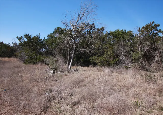 37th image of 150 Patricks Wy, Dripping Springs, TX 78620 | MLS# 9280029