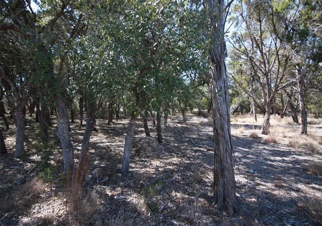 4th image of 150 Patricks Wy, Dripping Springs, TX 78620 | MLS# 9280029