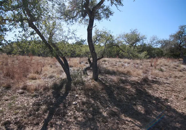 5th image of 150 Patricks Wy, Dripping Springs, TX 78620 | MLS# 9280029