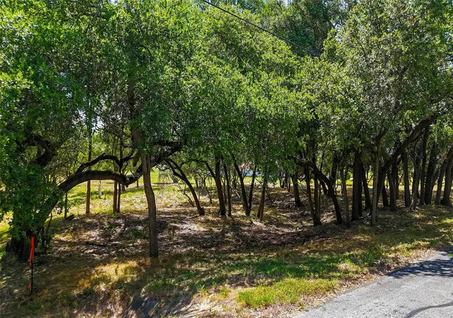 24th image of 420 Blanco River Ranch Blvd, San Marcos, TX 78666 | MLS# 8325788