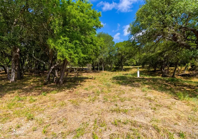 4th image of 420 Blanco River Ranch Blvd, San Marcos, TX 78666 | MLS# 8325788