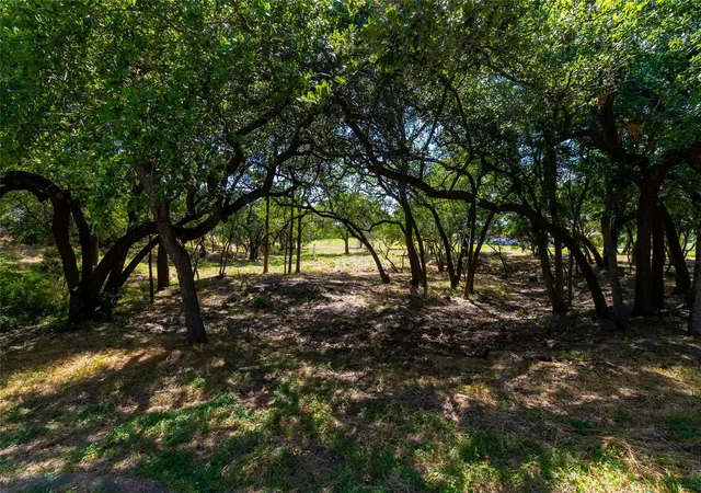 5th image of 420 Blanco River Ranch Blvd, San Marcos, TX 78666 | MLS# 8325788