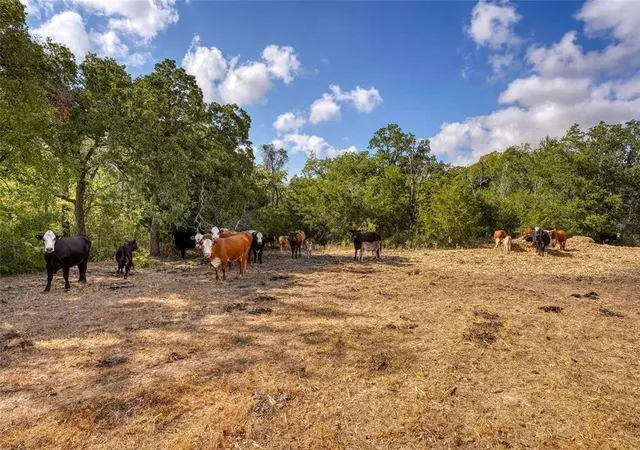 4th image of Tract 8 Cr 450, Thorndale, TX 76577 | MLS# 3599648