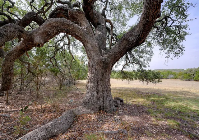 4th image of 6573 Ranch Road 165, Blanco, TX 78606 | MLS# 4354735