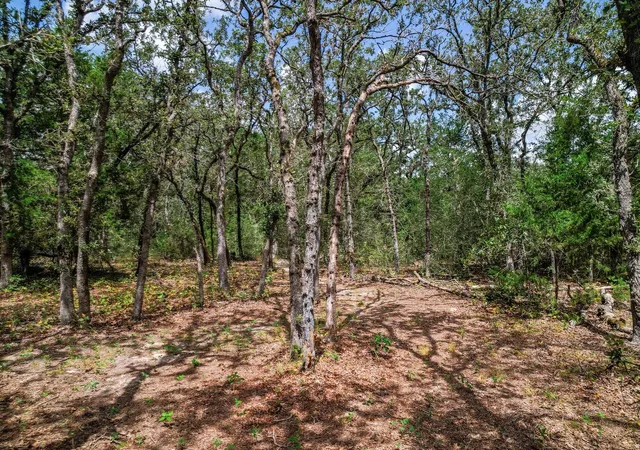 Photo 3 of Sale Pending at Tbd Christensen Rd, Elgin, TX 78621 | MLS# 7070203 | Listing updated on 2026-10-05