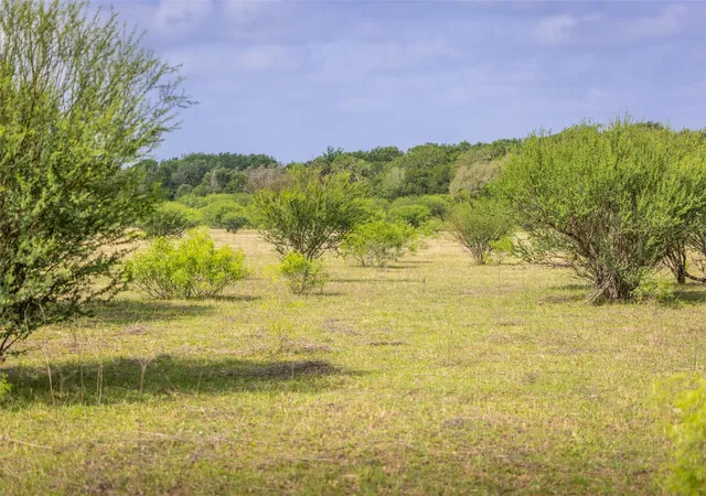 Homes for sale in Giddings, TX | Tbd Us Hwy 77 S, Giddings, TX 78942 | MLS# 9641073